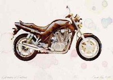 A3 Photo Suzuki VX800 1990 Watercolour Print Ltd Edition