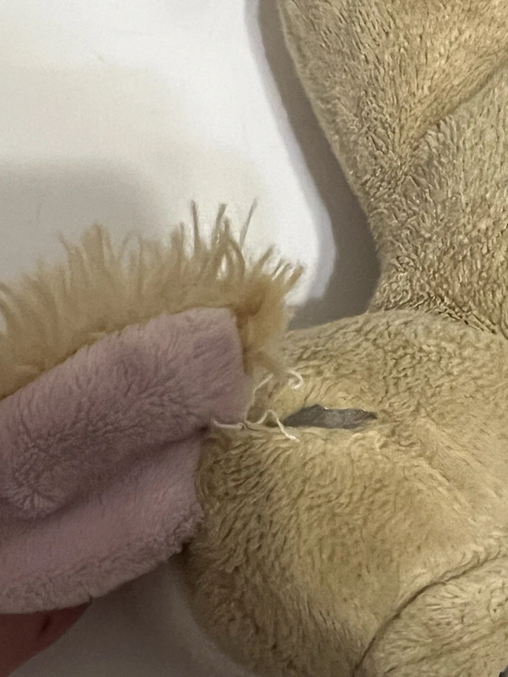 Ganz Webkinz Chihuahua Plush No Code (Read Description) - Image 2 of 4