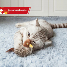 Cat Interactive Toy Chirping Bird Squeaky Automatic Feather Toy