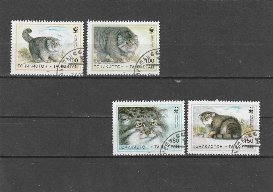WWF Tadschikistan.---1996.   U-99 - Bild 1 von 1