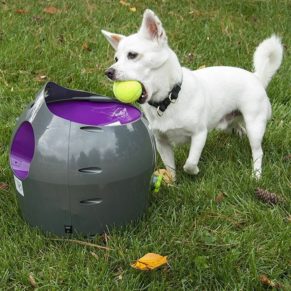 PetSafe Automatic Dog Ball Thrower Tennis Launcher for sale online