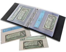 Lighthouse Refill Pages for Graded Currency Banknotes Album (Pack of 10)