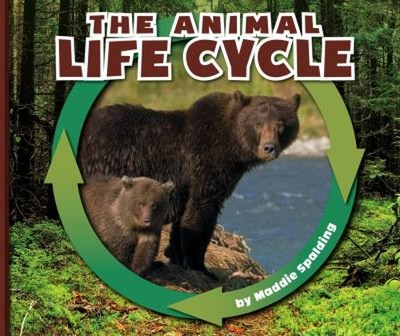 The Animal Life Cycle Library Binding Maddie Spalding