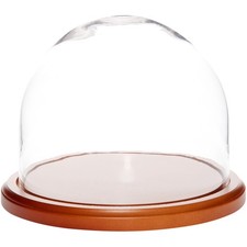Plymor 8" x 6.5" Glass Display Dome Cloche (Walnut MDF Base)