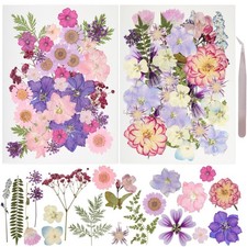 50Pcs Dried Pressed Flowers Resin Mould Real Pressed Flowers Natural Dry Leav...