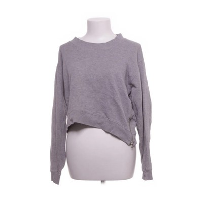 Acne Studios, Sweatshirt, Größe: M, model: bird z fle, Grau, Baumwolle #4Hc