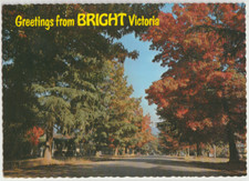 Australia VICTORIA VIC Delany Avenue BRIGHT Nucolorvue BR27 postcard c1970s