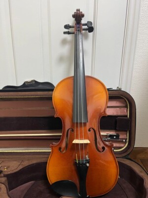 Hora Reghin 4/4 Full Size Violin With Accessories Bow Rosin