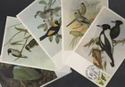 1980 Australian BIRDS Set of 5 Definitives Maxi Cards
