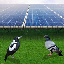 6in 100ft Solar Panel Bird Proof Guard Squirrel Pigeon Protection Wire Guard Kit