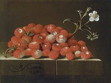 WILD STRAWBERRIES ON A LEDGE Accent Tile Mural Kitchen Bathroom Backsplash 8x6