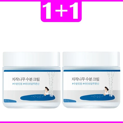 ROUND LAB Birch Juice Moisturizing Cream 80ml / face Moisturizer moisture cream - Picture 1 of 8