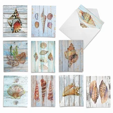 10 Blank All Occasion Cards Assorted - Seashell Driftwood AM6118OCB-B1x10