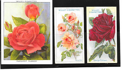 Will's cigarette cards with roses , 1912, 1913 and 1936