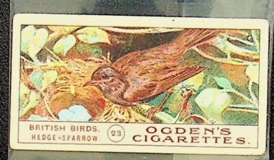 sparrow tobacco Original Blend Pipe 16 oz. Pack Sparrow Mild Blend Pipe Tobacco