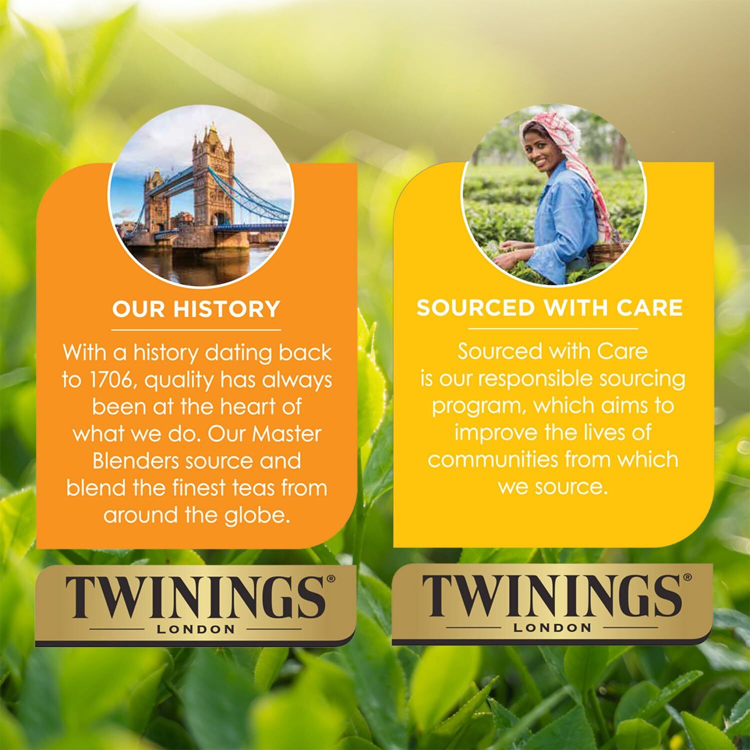 Twinings Peppermint Creamy Vanilla 20ct