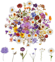 120 Transparente Scrapbooking Aufkleber, PET Blumen Aufkleber Pflanzen Sticker,