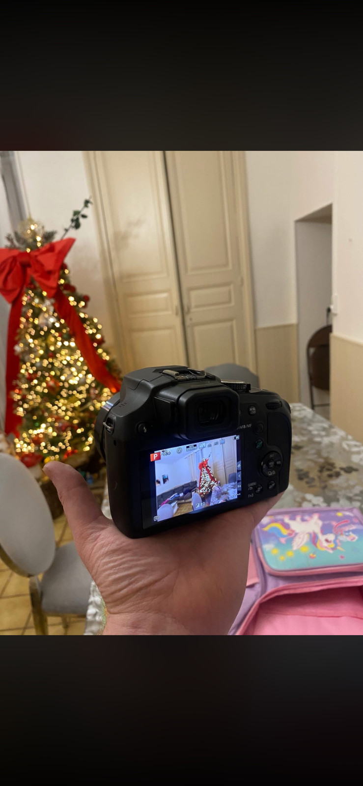 Panasonic Lumix DC-FZ82D Fini les Photos Floues de Loin avec le Bridge Stabilisé 4K