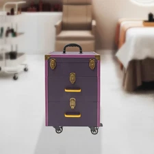 Portable Makeup Train Case Professional Cosmetic Trolley Travel Vanity Organizer