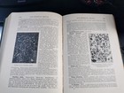 Foto 16 di 24