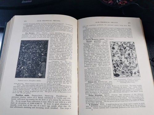 Tropical planning and gardening with special reference to Ceylon. - Picture 16 of 24