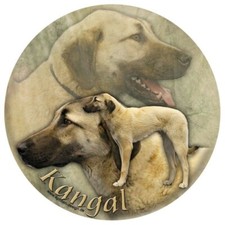 KANGAL Anatolischer Hirtenhund AUFKLEBER RUND Fensteraufkleber Autoaufkleber #1