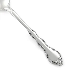 International Lyon ALLURE Stainless 18-8 Korea Glossy Silverware CHOICE Flatware