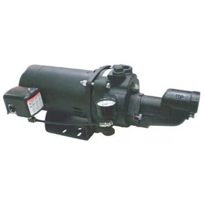 Dayton 5Uxk2 Shallow Well Jet Pump,  1-1/2 Hp, 115/230V