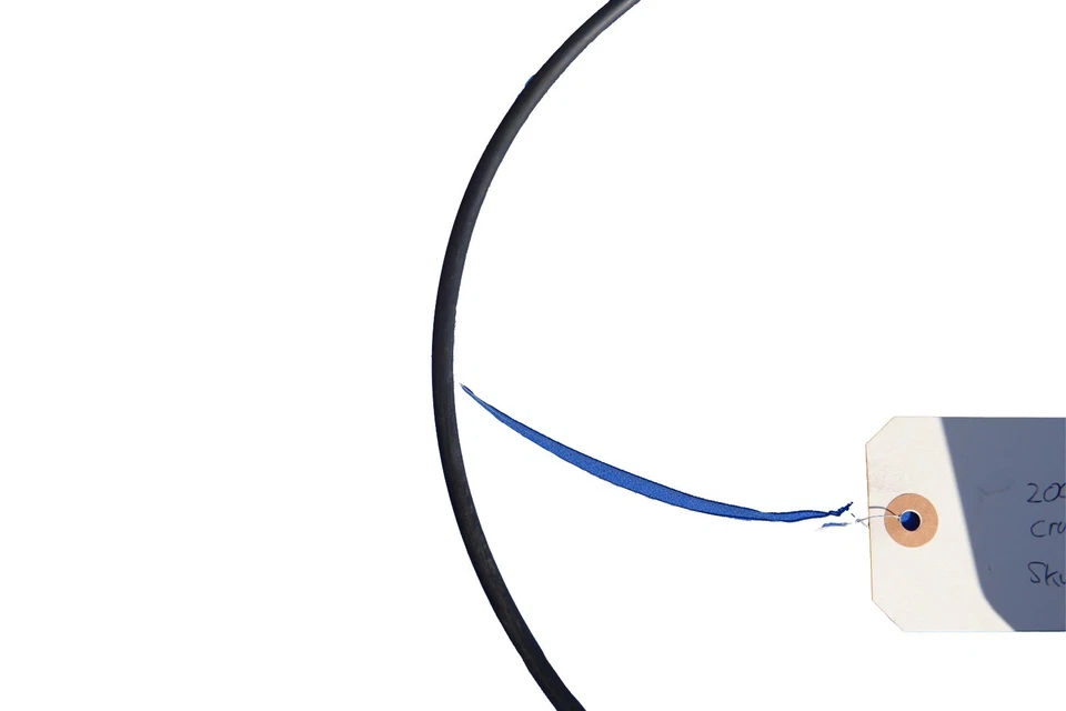 Módulo de control de crucero Ford Ranger Explorer 01-05 OEM 1L5F-9C735-AA Foto 3 de 4