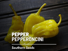 Pepper, Pepperoncini - Heirloom Seeds - GMO Free - Easy To Grow Capsicum annuum