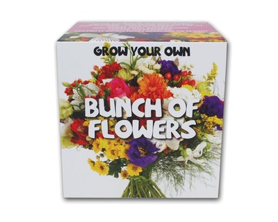 Grow your own Blumenstrauß! Blumen zum verschicken Blumen selber säen