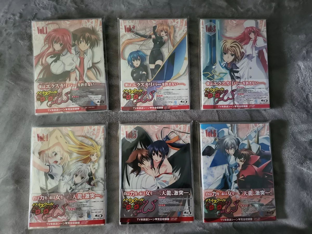 True High School DxD Vol. 1 (Light Novel)