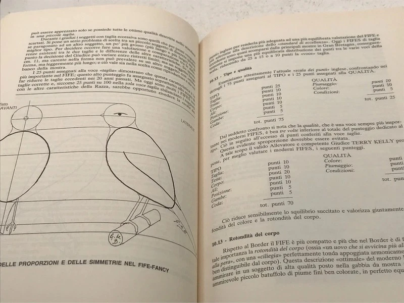 Canarini : Cinque Magnifiche Razze Inglesi - Giorgio de Baseggio - Immagine 4 di 4
