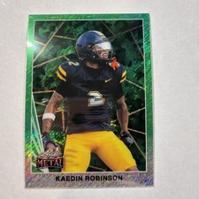 2024 Leaf Collective '90 Metal Green Kaedin Robinson Rc #168 1 /7