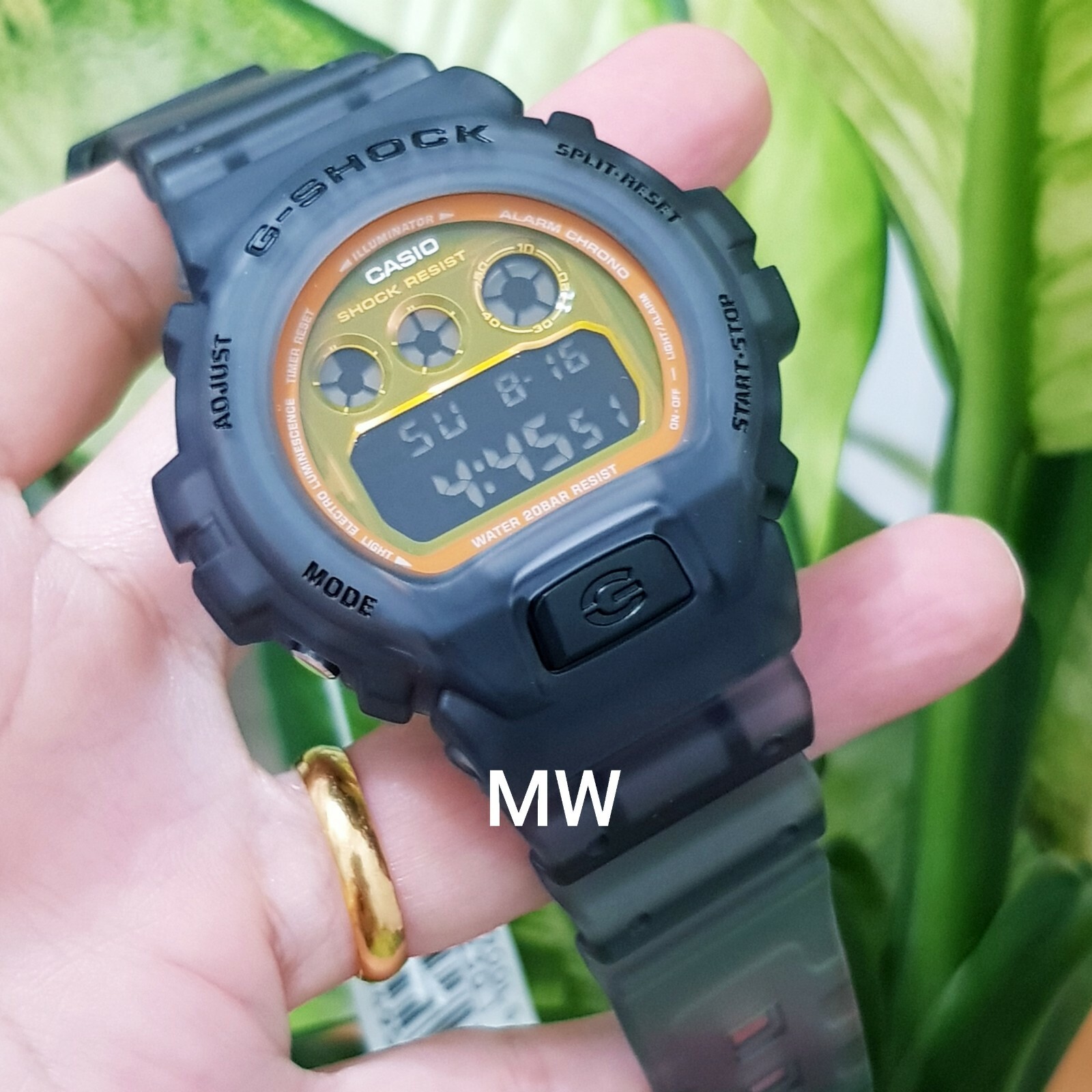 dw6900