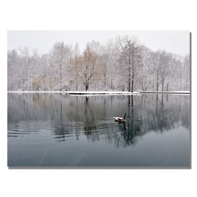 Trademark ART Kurt Shaffer Winter Goose Canvas Art, 22 by 32-Inch