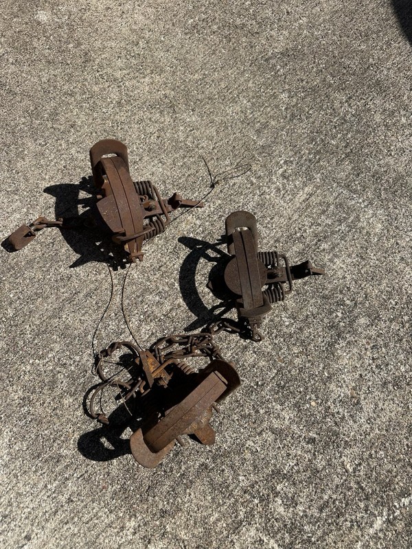 (3) Vintage VICTOR  Hunting Small Game TRAPS