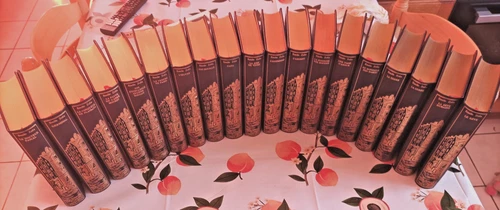 19 volumes jean de bonnot emile zola dont 16 tirage de tete