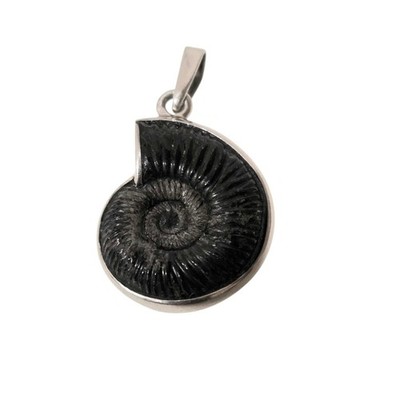 Vintage Sterling Nautilus Perlmutt Spirale Schneckenhaus Anhänger 1'' x 2''