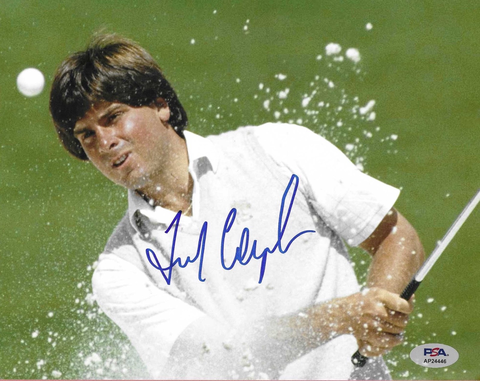 Fred Couples Autographed Signed New York Giants PGA Tour Champion Auto 8x10 Photo PSA DNA (B) 