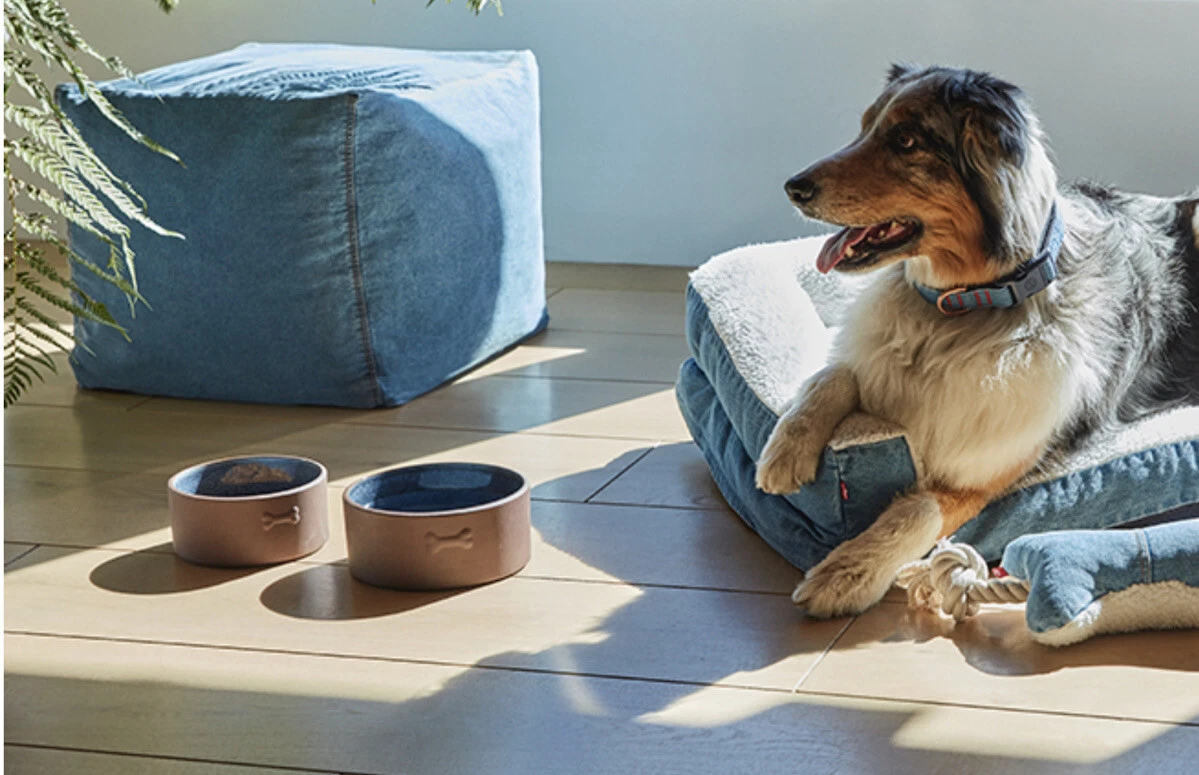 Target top dog feeder