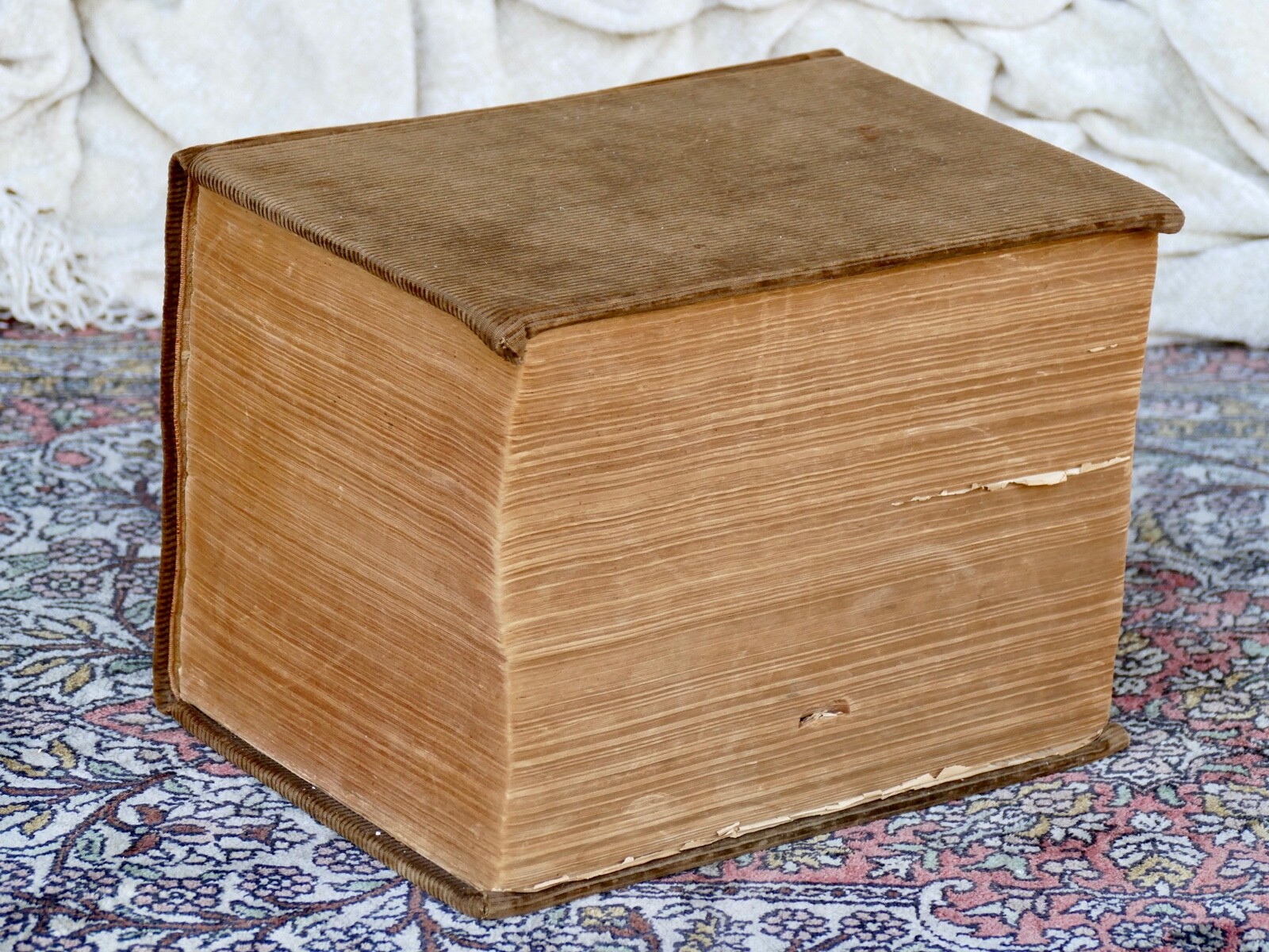 Picture 3 of 12