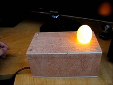 DIY Egg Candler Tester Plans - Build Your Own...
