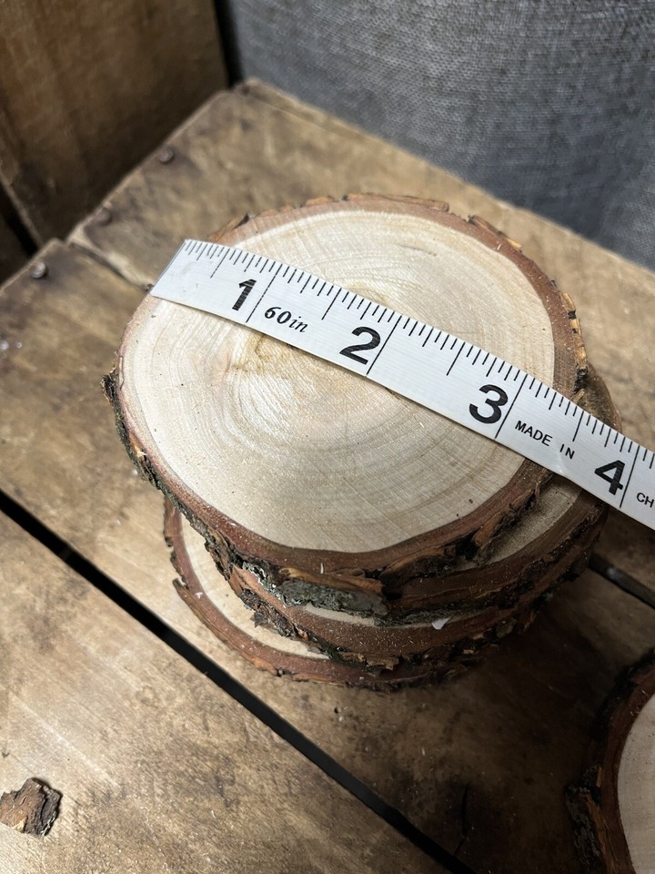 Natural Pine Wood Slabs Untreated 3-4 inches Diameter x 3/8-1/2 inch ...