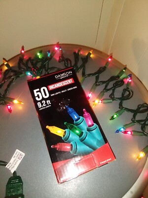 Christmas Mini Lights Multi Color Indoor/Outdoor 9.2 ft