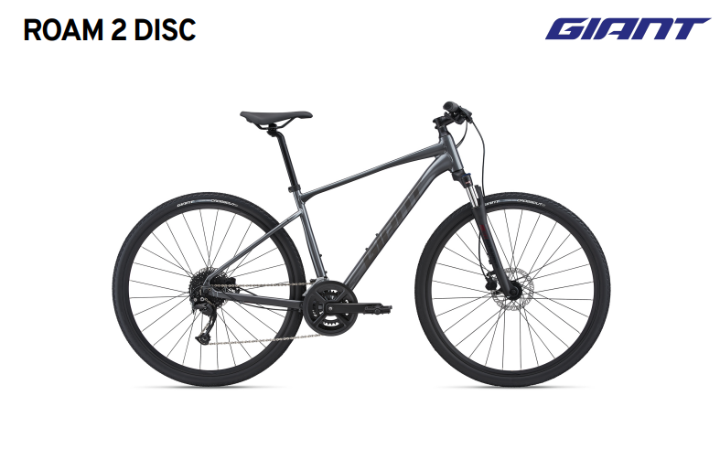 Giant Roam 2 Disc Hybrid Bike Charcoal Grey | eBay