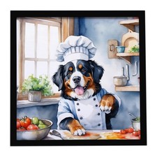 Bernese Mountain Dog The Chef Framed Metal Print DAC6206MFP88