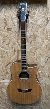 Washburn EA16 Semi Acoustic Guitar 