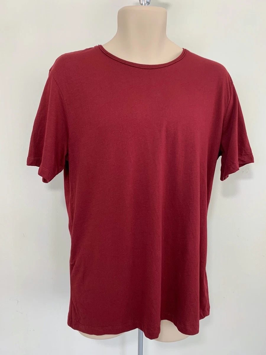 Zara t best sale shirt deluxe