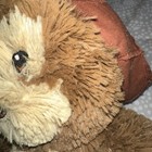 Bild 20 von 20